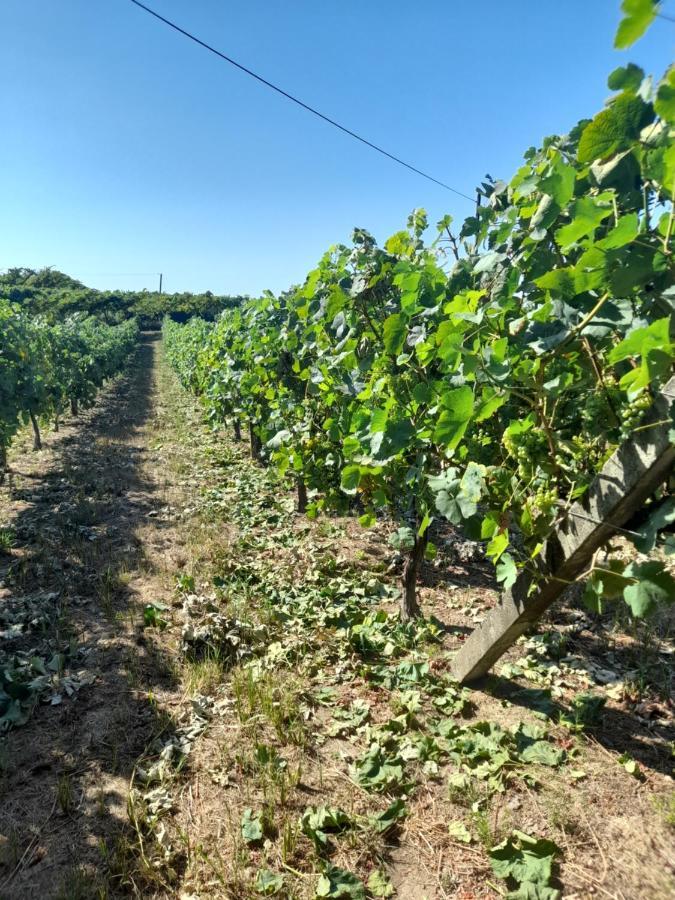 Quinta Do Silva Villa Celorico De Basto Luaran gambar